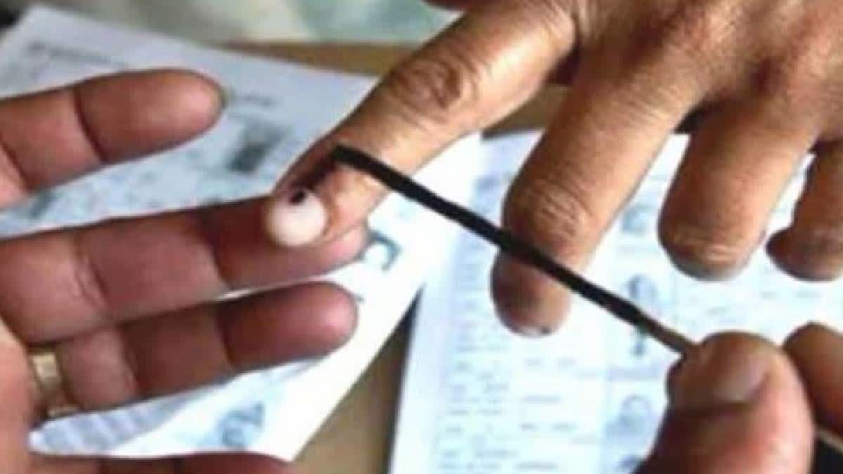 Lok Sabha Election 2024  Voting turnout  Live Update  Lok Sabha Election