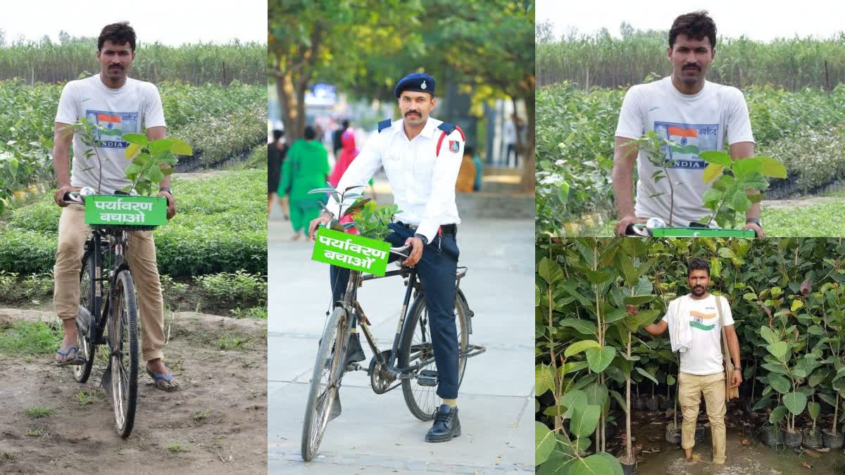 Tree Man Of Chandigarh