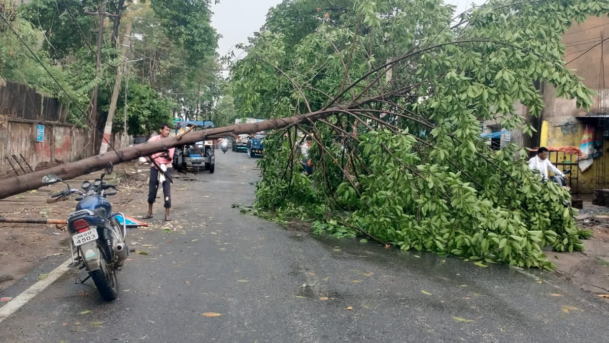 Heavy rain in Latehar