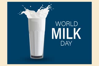 World Milk Day 2024