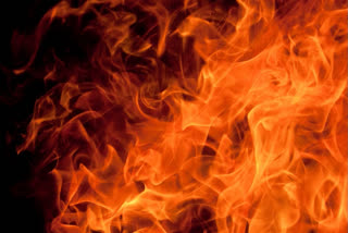 Fire Breaks out at Dingu Forest of Himachal's Bilaspur
