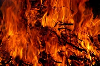 FIRE BREAKS OUT AT HIMACHAL  SUMMER ISSUES  ഡിംഗു വനത്തിൽ കാട്ടുതീ പടര്‍ന്നു  FOREST DEPARTMENT HIMACHAL PRADESH