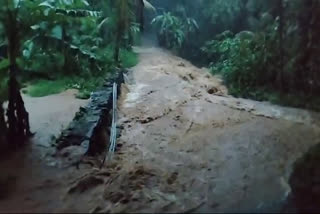 MALANKARA DAM SHUTTERS WILL RAISED  ഇടുക്കി  RAIN ALERT IN IDUKKI  മലങ്കര ഡാം ഷട്ടറുകൾ ഉയർത്തും