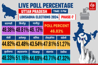 UP LOKSABHA LIVE VOTING PERCENTAGE