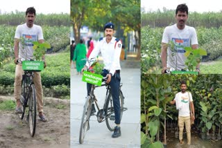 Tree Man Of Chandigarh