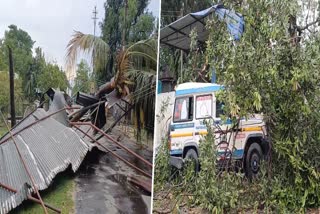 Storm Hits Jalpaiguri