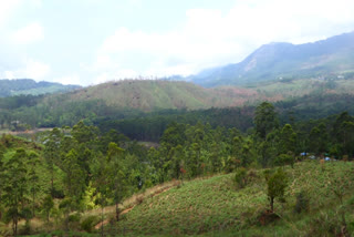 IDUKKI NEWS  FOREST DEPARTMENT  RESERVE FOREST LAND  CHINNAKANAL NEWS