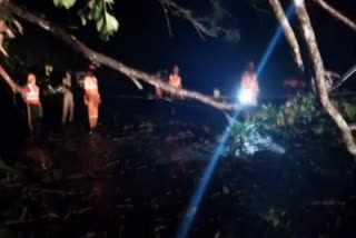 HEAVY RAIN IN IDUKKI  CLOUDBURST IN KERALA  LANDSLIDE IN IDUKKI  ഇടുക്കിയില്‍ കനത്ത മഴ