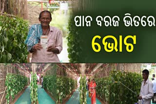 ଫୋଟରେ ଖବର; କାକଟପୁରର ପାନ ବରଜ ବୁଥ, ଭୋଟରଙ୍କୁ କରୁଛି ଆକୃଷ୍ଟ