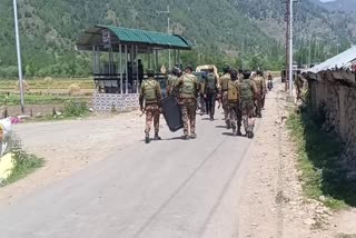 Search operation underway in Tral area of South Kashmir's Pulwama district on May 22, 2024