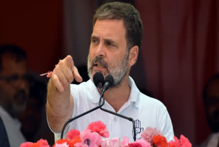 Congress Leader Rahul Gandhi Writes to Prez on Agnipath Scheme, Urges Her to Intervene