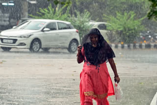 Weather changed in Rewari of Haryana it rained heavily
