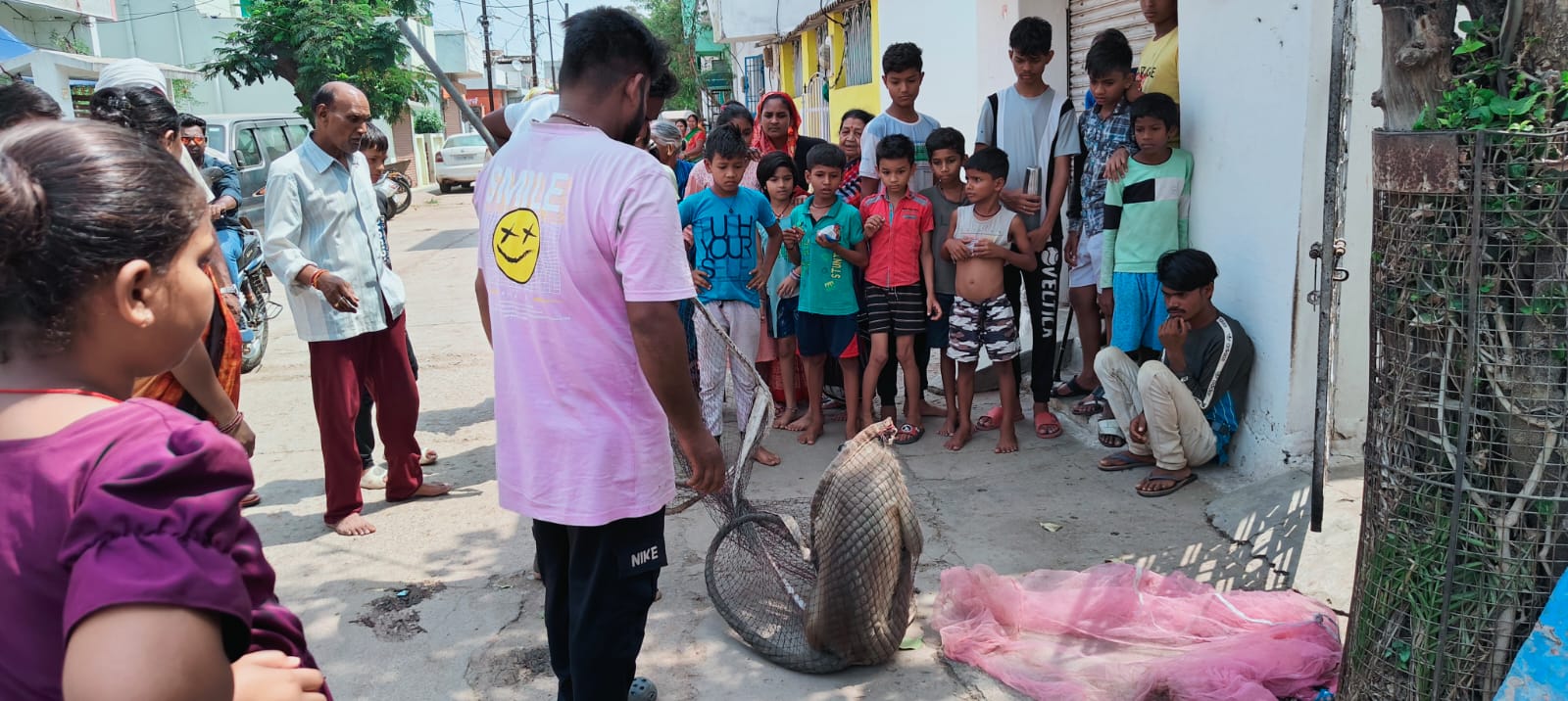 Rescue of unruly monkey terror