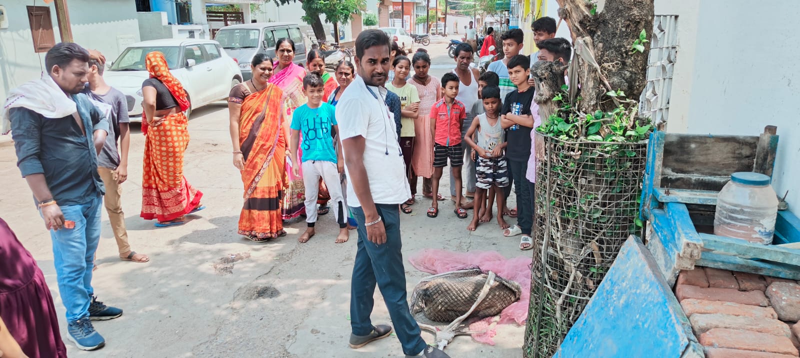 Rescue of unruly monkey terror