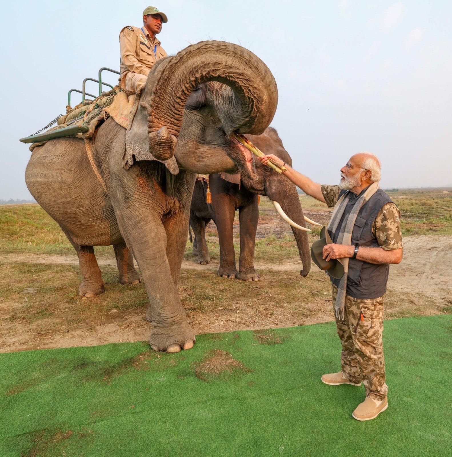 Kaziranga National Park