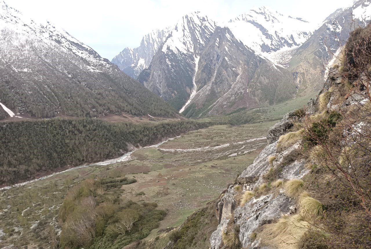 Valley of Flowers