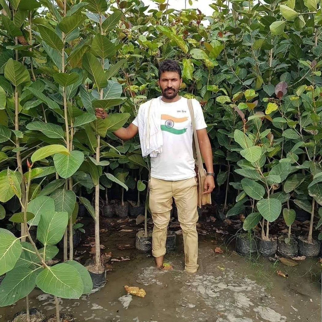 Tree Man Of Chandigarh