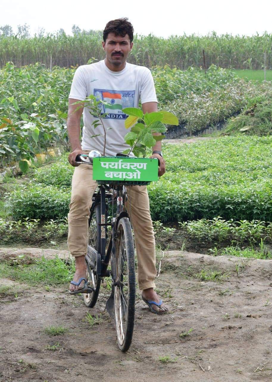 Tree Man Of Chandigarh