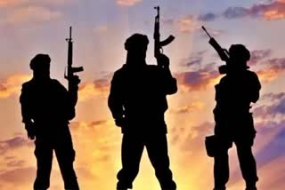 Vizianagaram Terror Plot Case