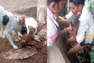 SATNA NEWBORN FOUND IN WELL