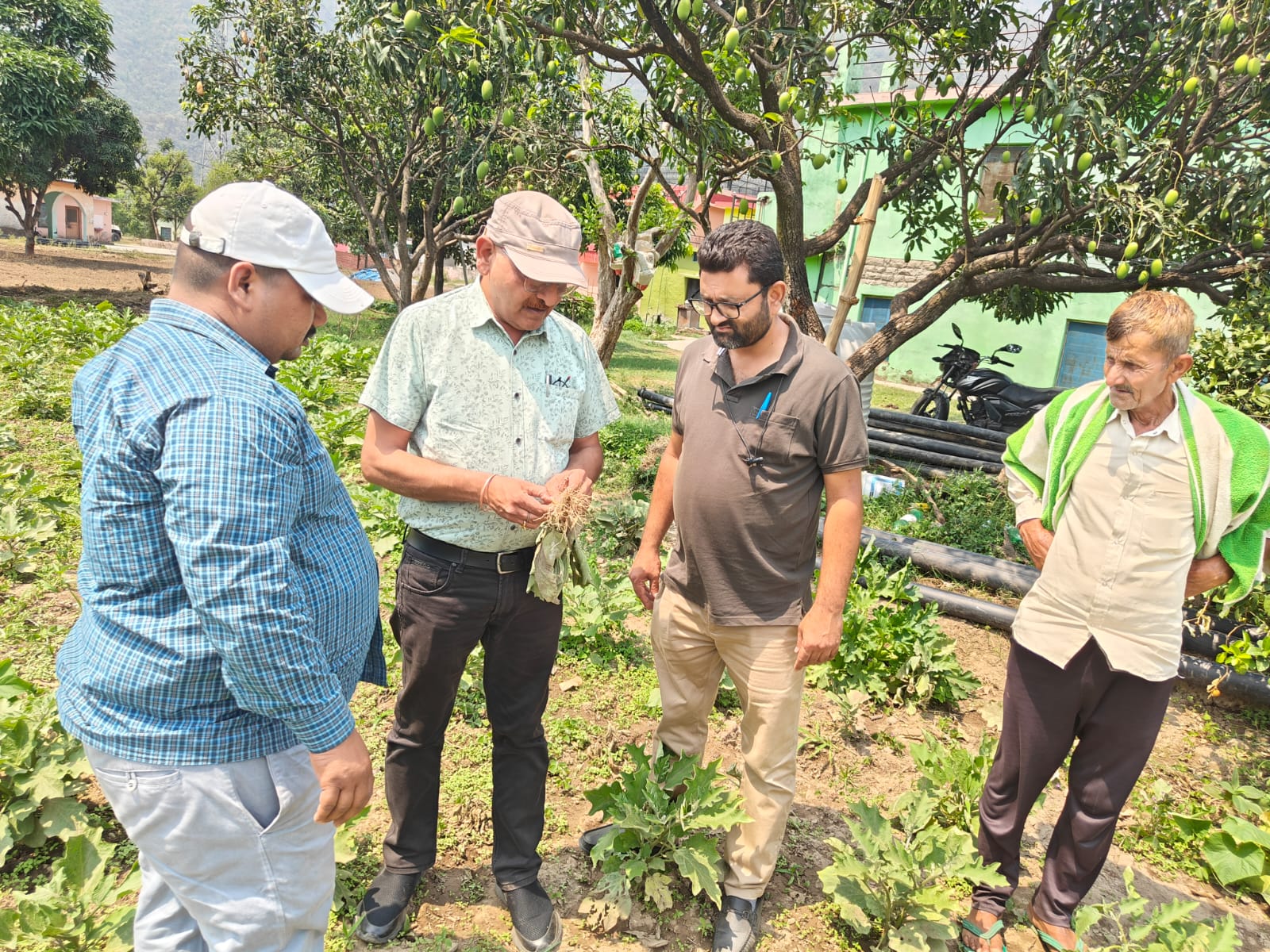 Krishi Vigyan Kendra Sirmaur Advisory