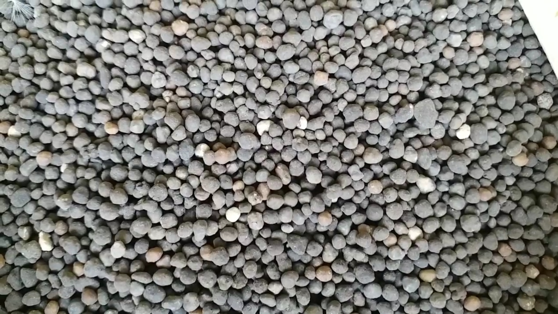 check fake vs real fertilizer