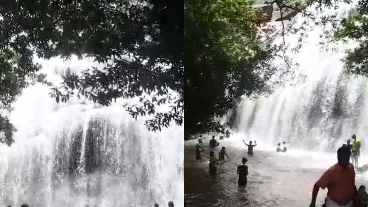 Aanachadikuth Waterfall idukki  Aanachadikuth Waterfall  Aanachadikuth  Waterfall idukki  idukki waterfall  idukki  idukki tourism  ഇടുക്കി  ഇടുക്കി ടൂറിസം  ഇടുക്കി വെള്ളച്ചാട്ടം  വെള്ളച്ചാട്ടം ഇടുക്കി  വെള്ളച്ചാട്ടം  ഇടുക്കി ആനചാടിക്കുത്ത്‌  ആനചാടിക്കുത്ത്‌ വെള്ളച്ചാട്ടം  ഇടുക്കി ആനചാടിക്കുത്ത്‌ വെള്ളച്ചാട്ടം  ആനചാടിക്കുത്ത്