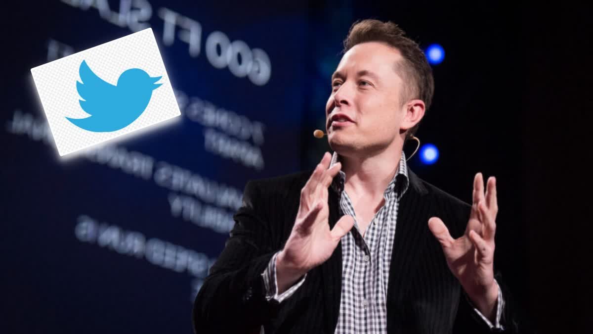 Twitter Elon Musk