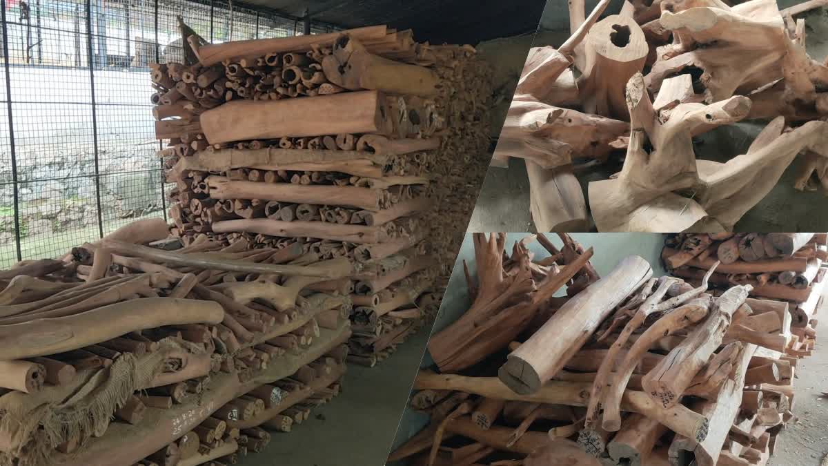 Bill to cut sandalwood trees on private land  sandalwood trees on private land  സ്വകാര്യ ഭൂമിയിലെ ചന്ദനം മുറിക്കാന്‍ ഇളവുകള്‍  നിയമസഭയില്‍ ഭേദഗതി ബില്‍  ചന്ദന മരം മുറിക്കാന്‍ ഉടമകള്‍ക്ക് അനുവാദം  വനം വകുപ്പ്  ചന്ദനമരം  വനം വകുപ്പ്  kerala news updates  latest news in kerala  idukki news updates