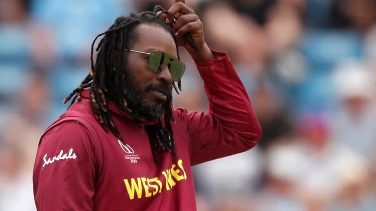 Chris Gayle  Chris Gayle news  Chris Gayle Predicts Semi finalists in ODI WC  ODI World Cup 2023  ക്രിസ് ഗെയ്‌ല്‍  ഏകദിന ലോകകപ്പ്  ലോകകപ്പിലെ സെമി ഫൈനലിസ്റ്റുകള്‍ ക്രിസ് ഗെയ്‌ല്‍  ഏകദിന ലോകകപ്പ് 2023