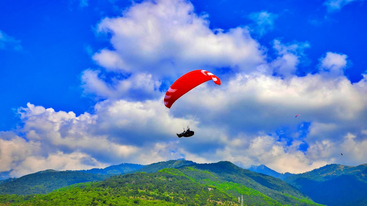 Paragliding Pilot in Himachal