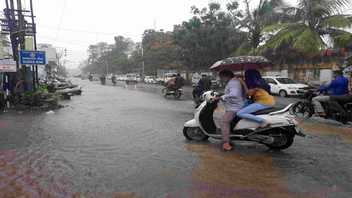 Bhavnagar Rain : અનરાધાર મેઘરાજાની સવારીથી શેત્રુંજી ડેમની સપાટીમાં વધારો, પરંતુ રસ્તા પર ચાલતા લોકોને ડર સતાવે