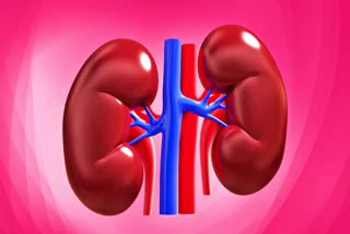 kidney health facts kidney stone Symptoms