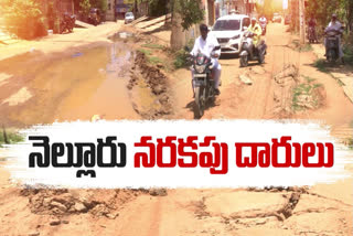 Damage Road in Nellore