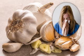 Garlic For Health News