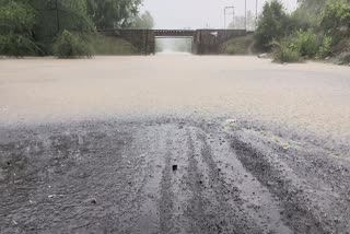 Navsari Rain: નવસારી જિલ્લામાં વરસાદ યથાવત, નીચાણવાળા વિસ્તારોમાં એલર્ટ મોડ