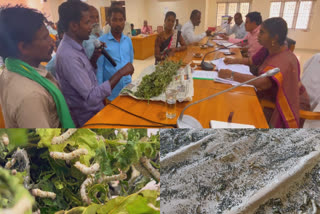 In Ranipet farmers set fire to the plants and worms after the silk development department supplied substandard silkworms without inspection