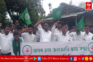 Tea workers protest demanding grant of land pattas