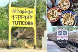 thoothukudi-panimaya-matha-temple-festival-southern-railway-notice-to-run-special-trains