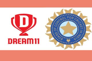 Etv BharatIndia Team Lead Sponsor Dream11