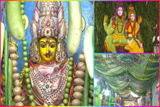 Shakambari Festival Celebrations