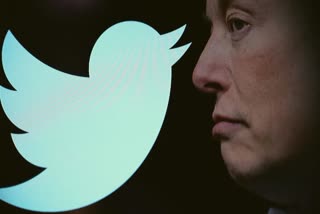 Twitter shuts down access to people without accounts Tesla CEO Elon Musk blames data scraping