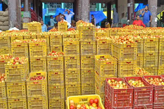 Tomato Prices Hike