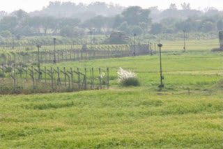 Assam: Four-kilometer area on Indo-Bangla border is open due to Bangladesh obstructions