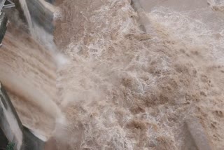 Amreli Rain : અમરેલીનો હાથસણી શેલ દેદુમલ ડેમમાંથી પાણી છોડવામાં આવ્યું, આસપાસના ગામોને એલર્ટ