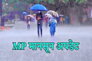 MP Weather News