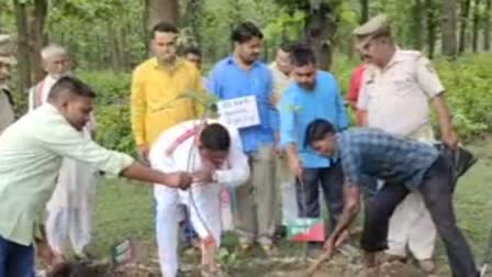 वृक्षारोपण महाअभियान