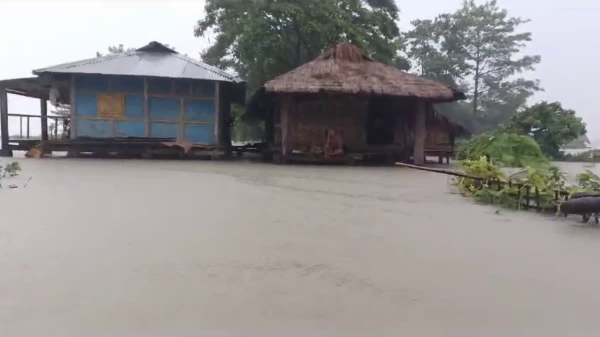 അസം പ്രളയം  അസം വെള്ളപ്പൊക്കം  Assam Flood Situation  Assam Rain