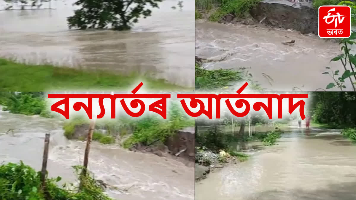 Flood Situation In Assam