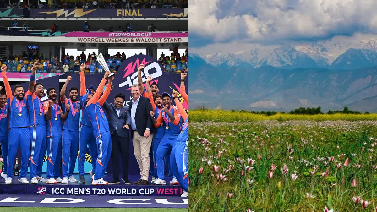 Team India celebrating T20 World Cup Victory (L) and a view of a flower meadow in Kashmir
